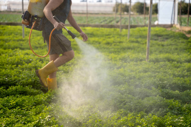 Best Best Pest Control Companies  in Alpine, CA