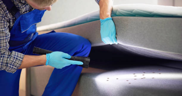 Best Bed Bug Extermination  in Alpine, CA